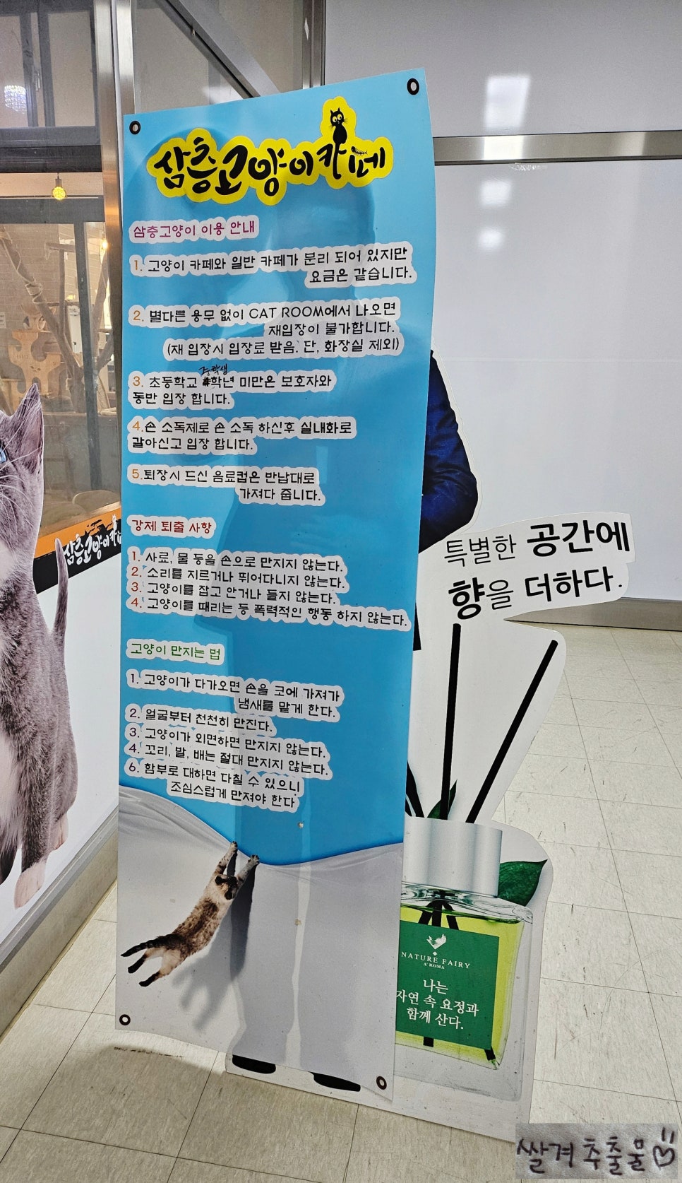 삼층고양이 이미지