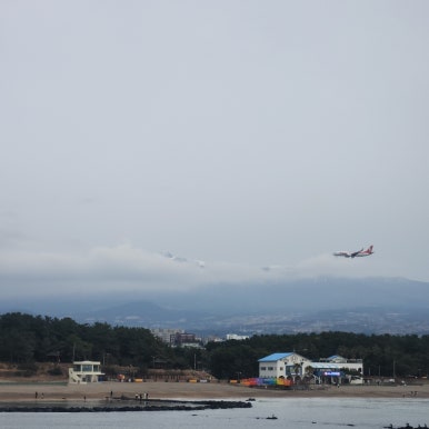 마농꽈배기 이미지