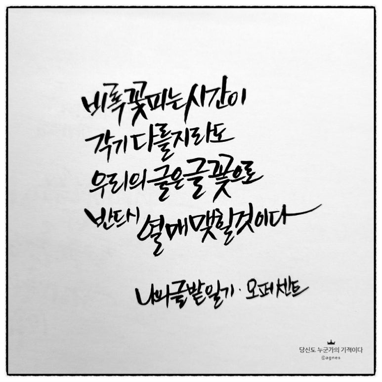 오퍼센트 이미지
