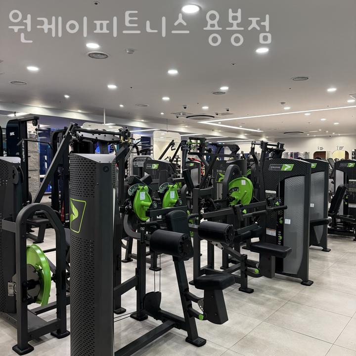 원케이피트니스 이미지