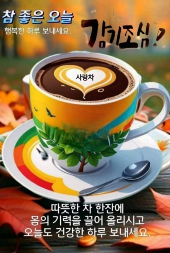 커피애 이미지