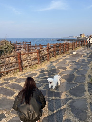 회달리다 이미지