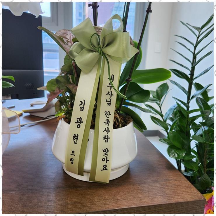지향세무회계 이미지