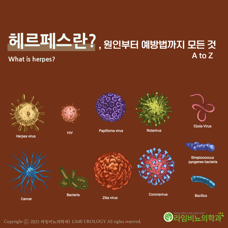 강서비뇨기과의원 이미지