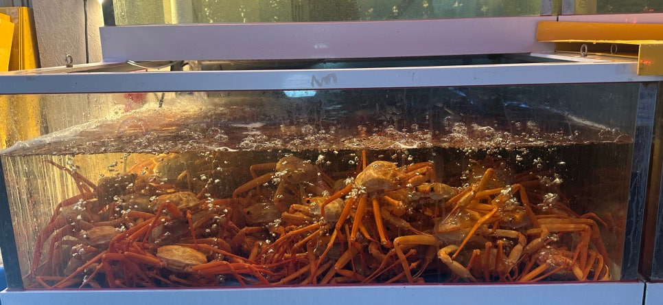 홍게파는언니 이미지
