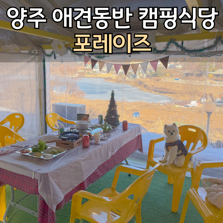 포레이즈 이미지
