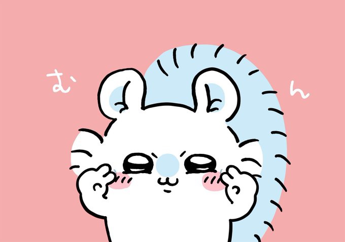 모몽가 이미지