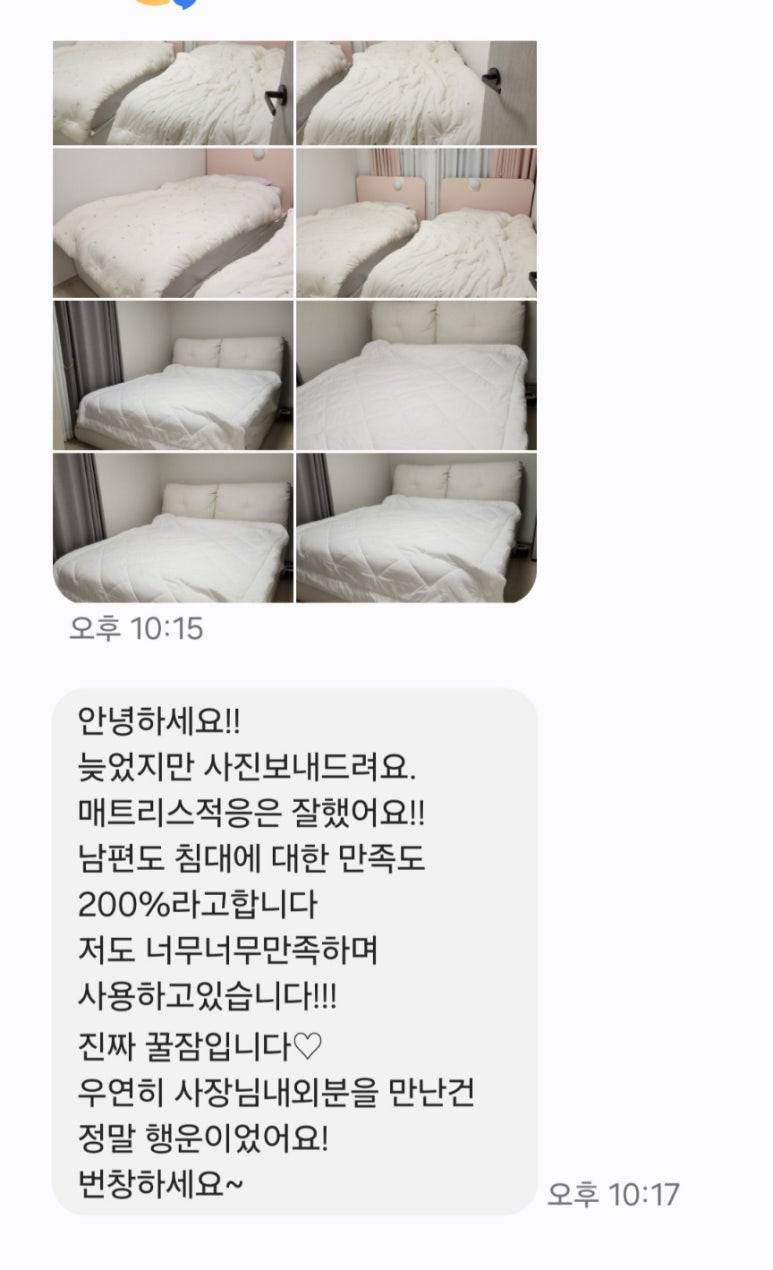 데이빗 이미지