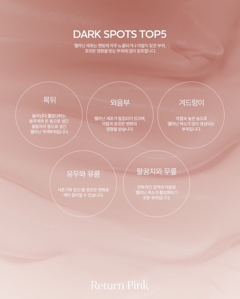 핑크52 이미지