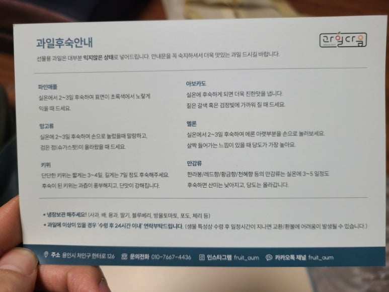 과일다움 이미지