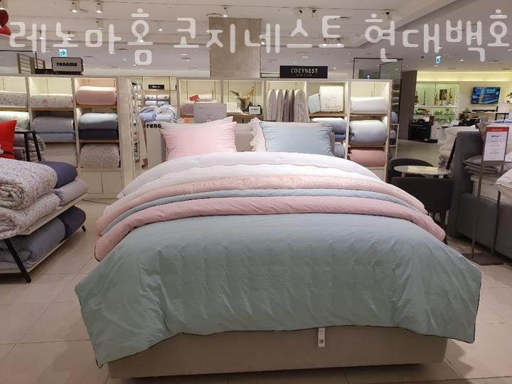 코지네스트현대 이미지
