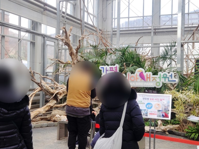 새마음플라워 이미지