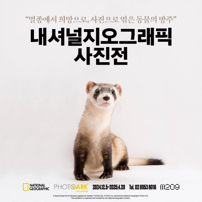 내셔널지오그래픽 이미지