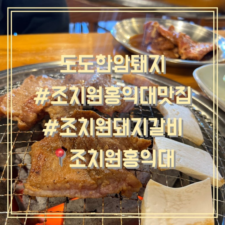 도도한암퇘지 이미지