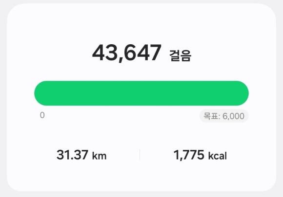 세바 이미지