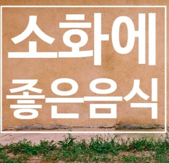 배소화 이미지