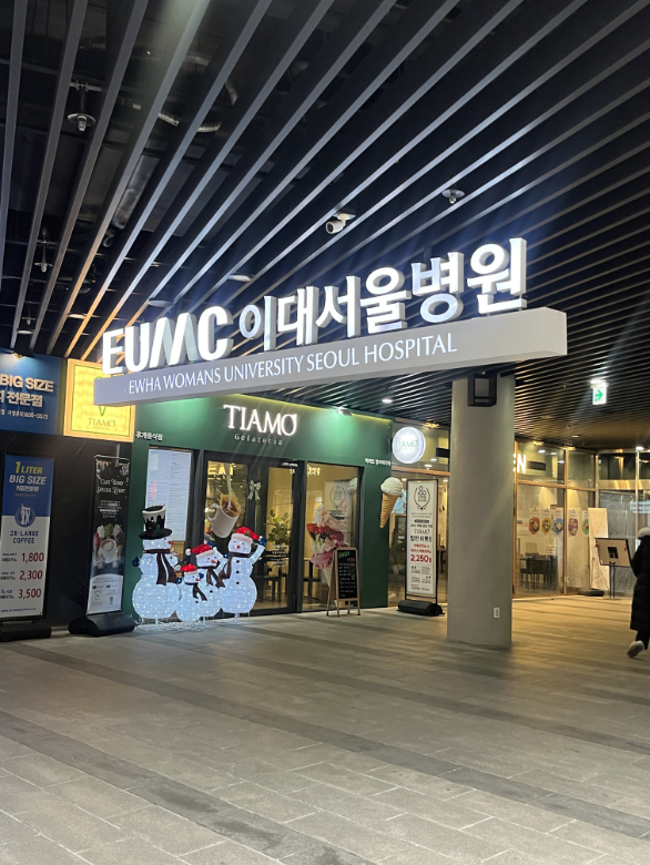 띠아모 이미지