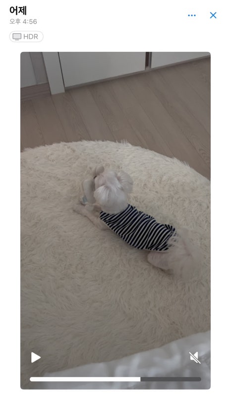 SOL NAIL 이미지