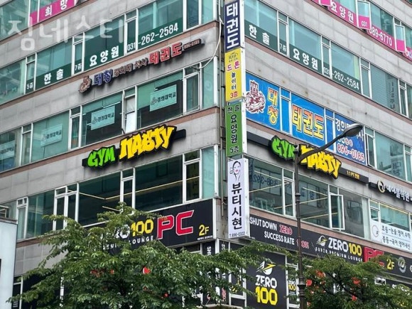 짐네스티 이미지