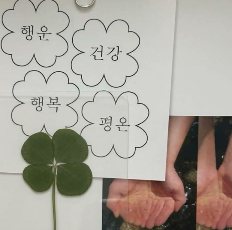 소소록 이미지