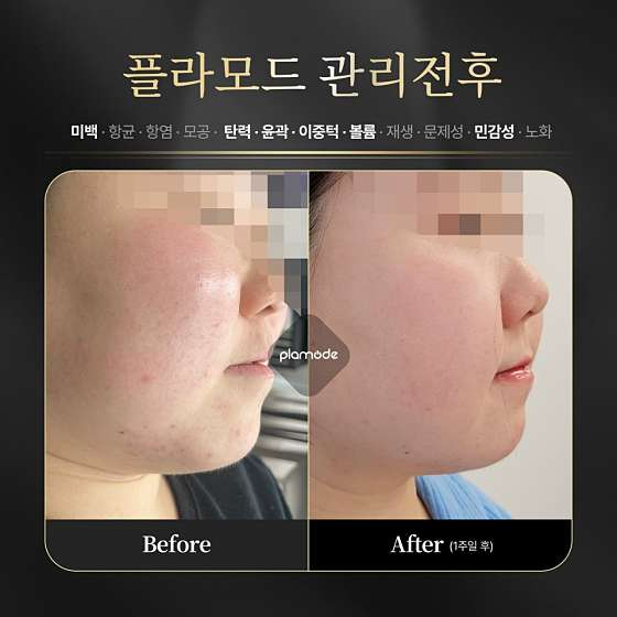 에스테틱도도 이미지