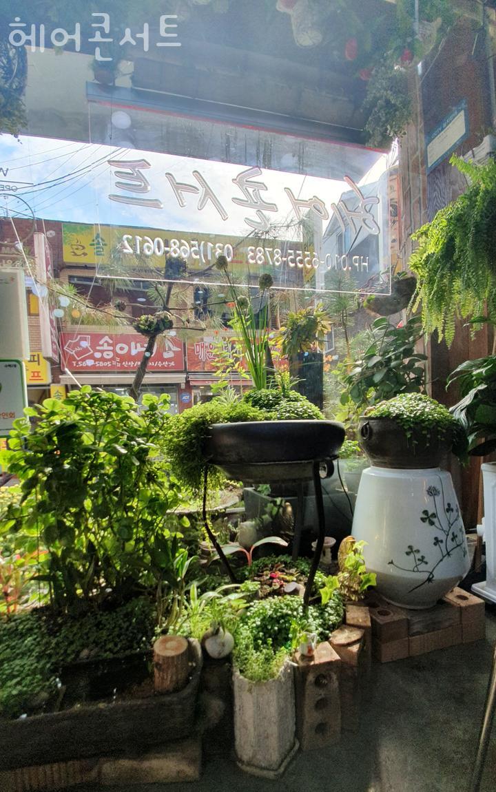 헤어콘서트미용실 이미지