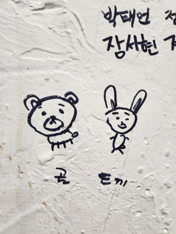 다림보쌈 이미지