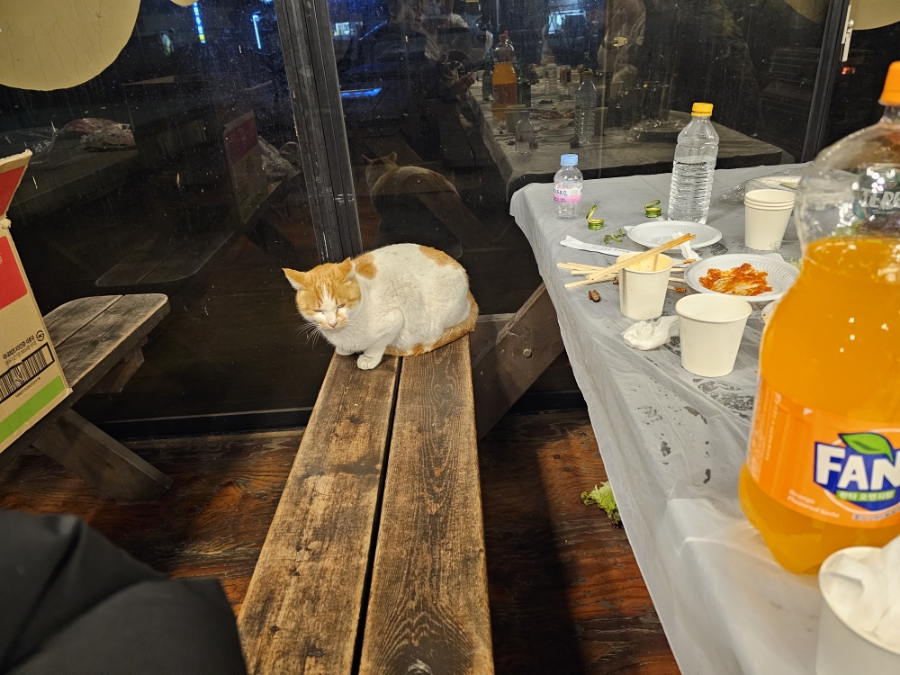 이글스파크펜션 이미지