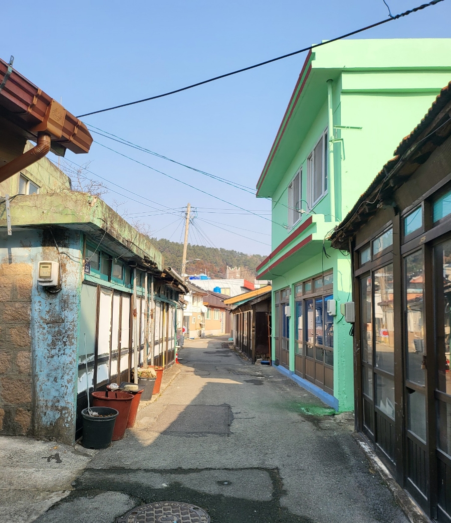 노화상회 이미지