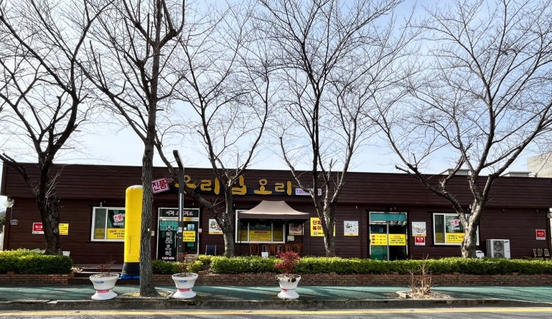 진품우리집오리 이미지