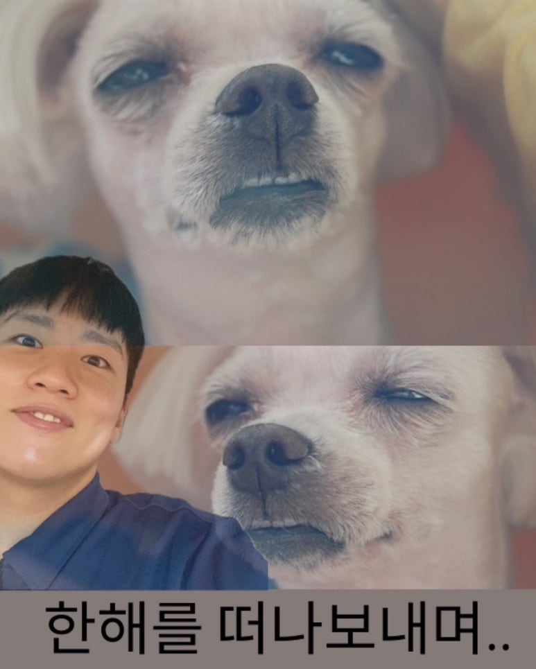 어반클래식 이미지