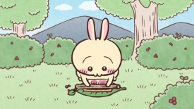 모몽가 이미지