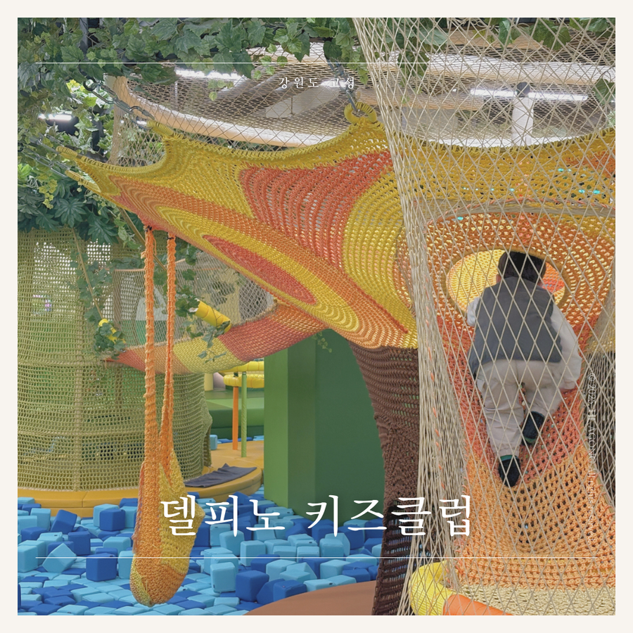 델피노 키즈클럽 이미지