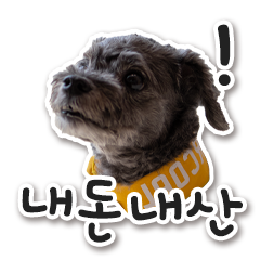 타이어할인점우리카센터 이미지