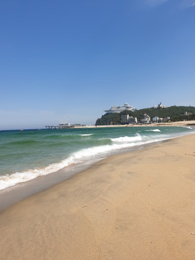 정동진분점 이미지