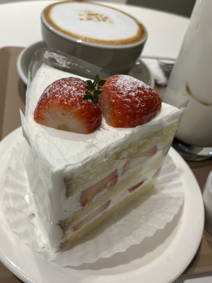 카페;하라리 이미지