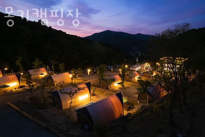 몽키캠핑장 이미지