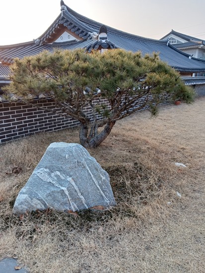 경주신라풀빌라 이미지