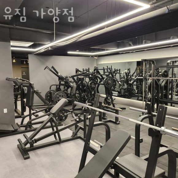 유짐 이미지