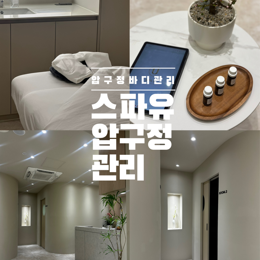 스파유(SPAU) 이미지