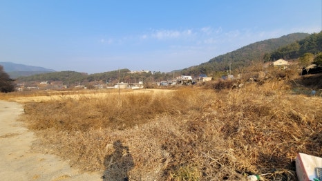 마산교차로 이미지