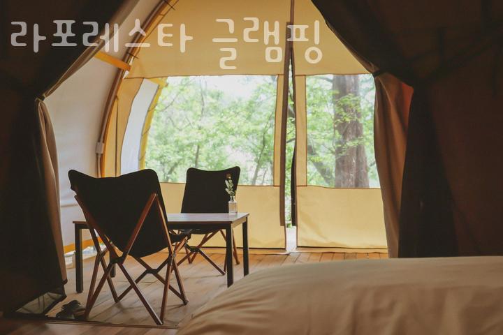 라포레스타 이미지