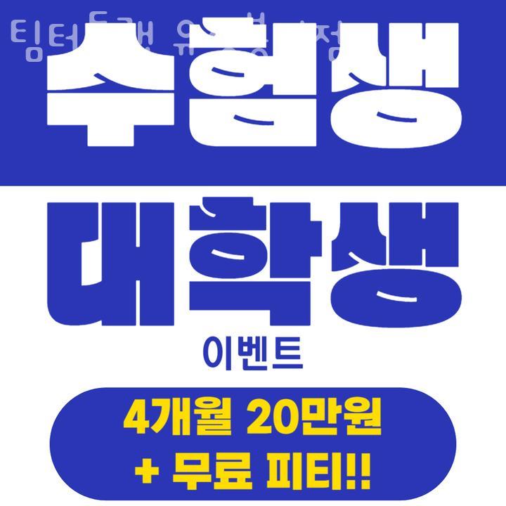 팀터틀랫유성 이미지