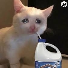복식당 이미지