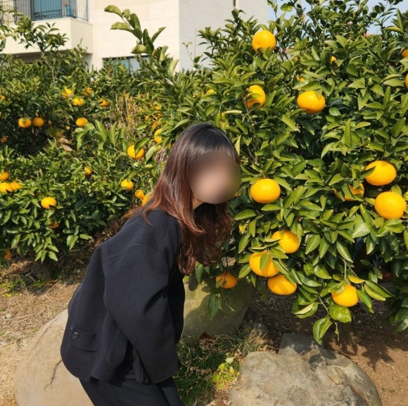 꽁떼네도르 이미지