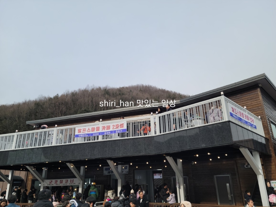 알프스1호카페 이미지