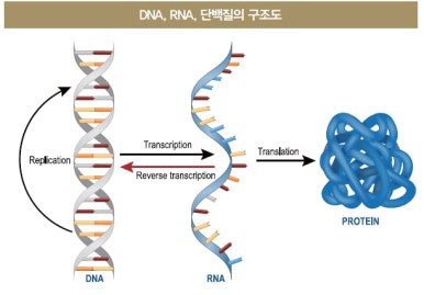 텐니스 이미지