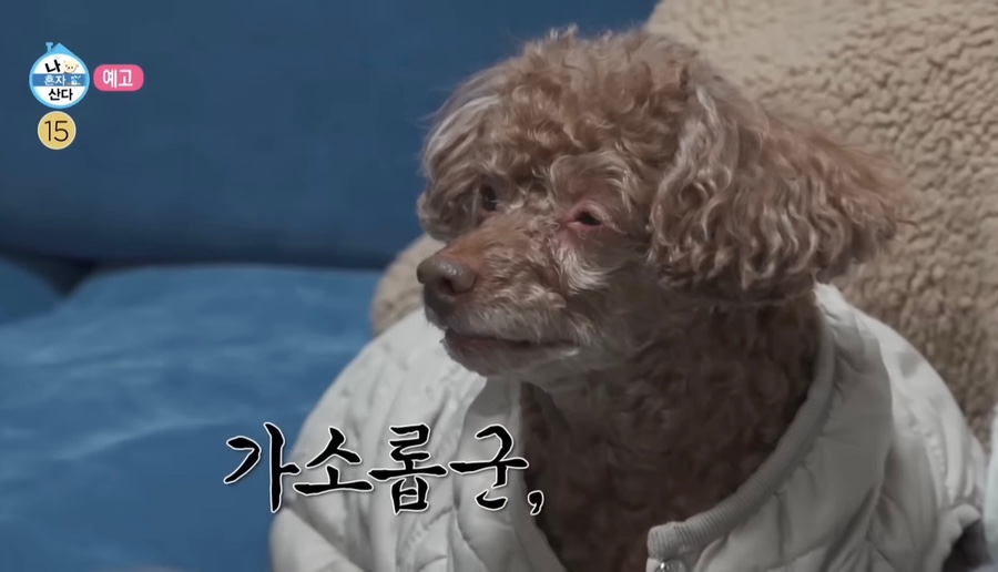 쓱싹 이미지