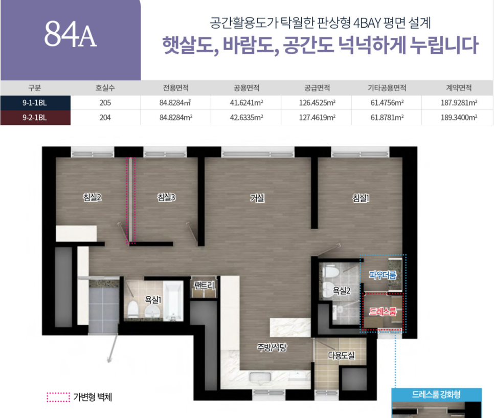 반도전자 이미지