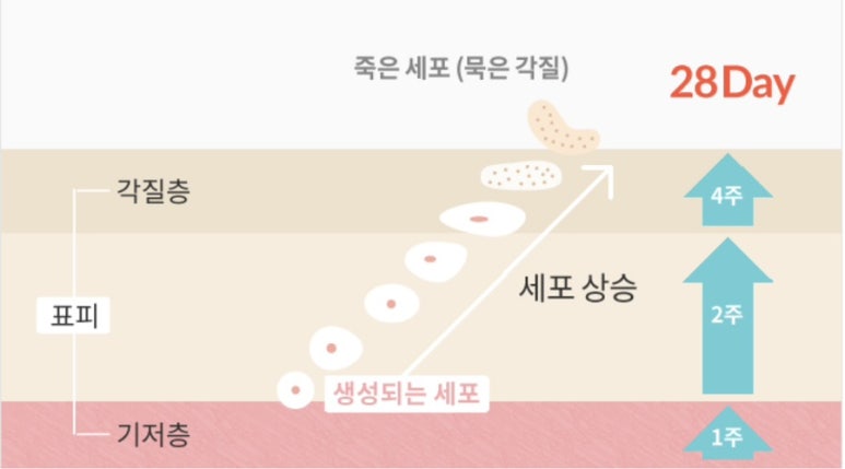 요철 이미지